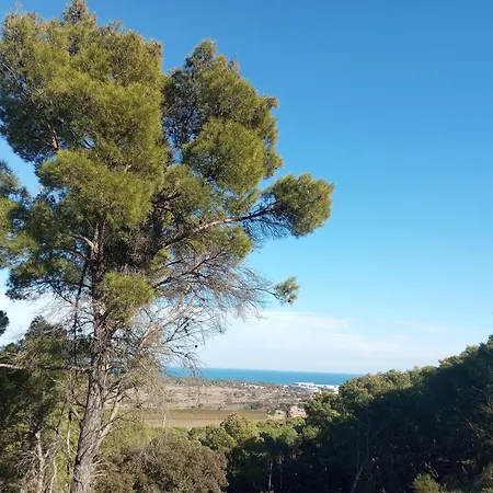 Exclusive Cosy ,clim, 6 Pers, Piscine, Pinède, Parking, Calme Méditerranée Chalet